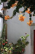 68-Myconos,10 luglio 2010